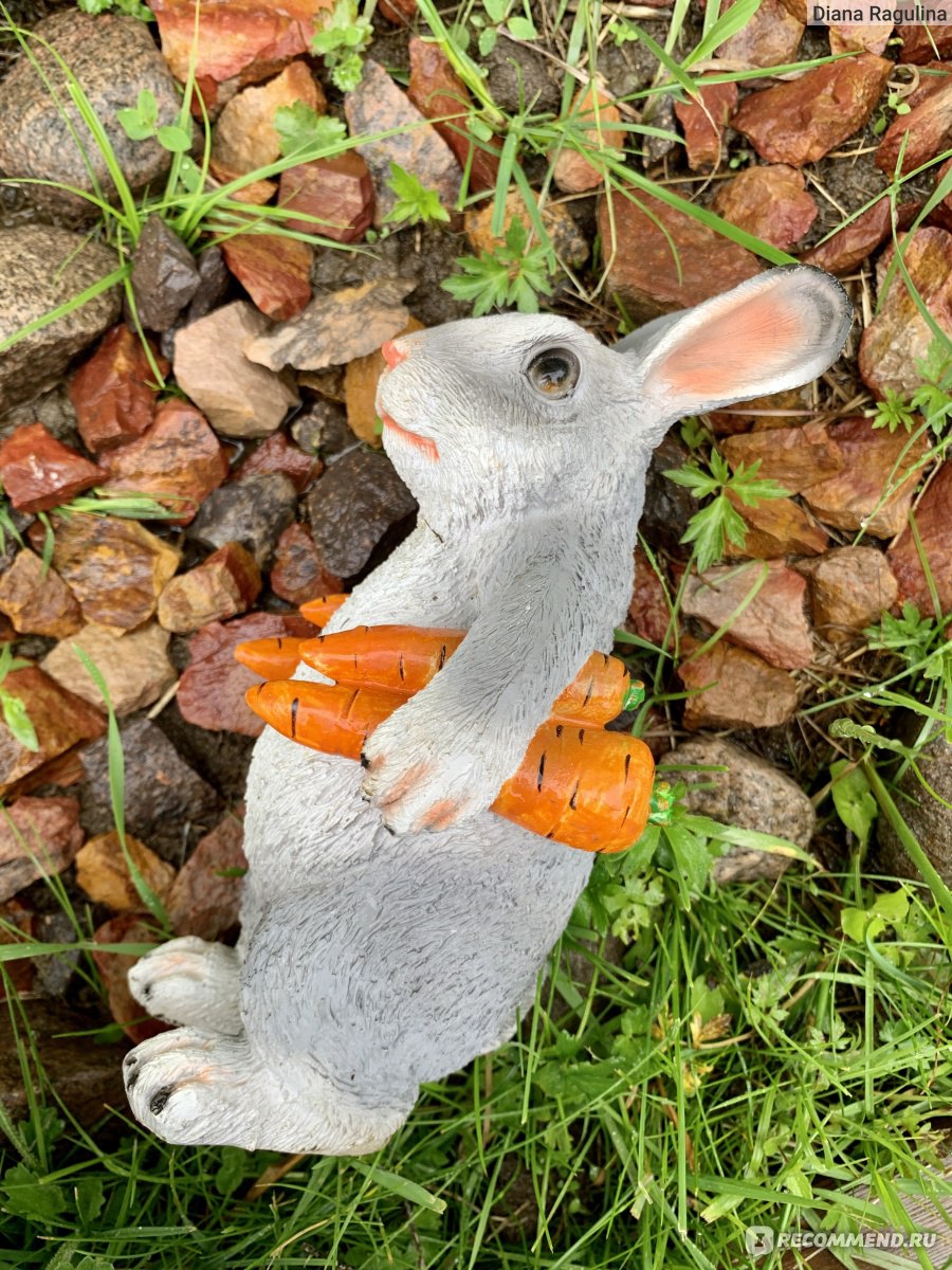 Фигура садовая «Заяц с морковкой» - «Зайцев много не бывает 🐰 Украсим мир  вокруг себя, начнём с дачи)) Главное остановиться 😃» | отзывы