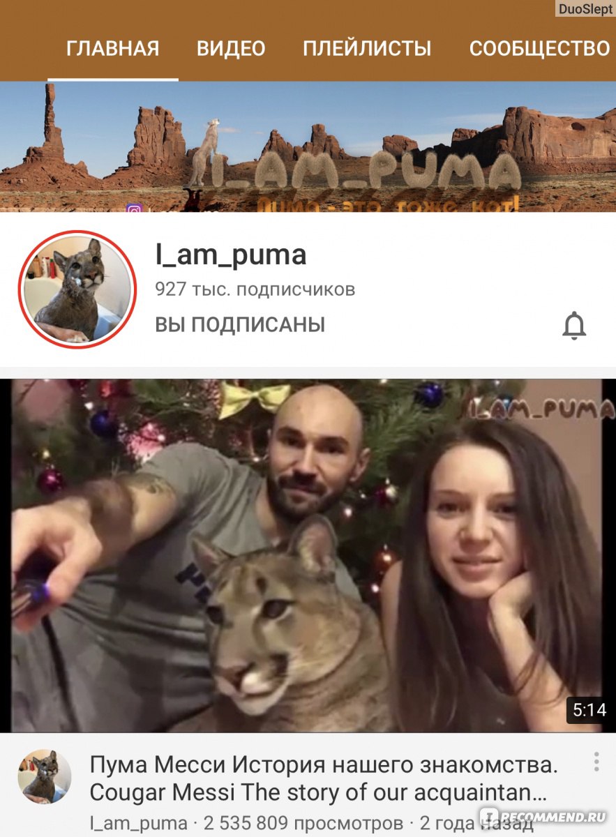 Сайт YouTube канал I_am_puma (Пума Месси)  https://www.youtube.com/channel/UCvph04Sh9CFKAw-gA6y-brQ - «Пума в  квартире?«Издевательство над животным»-подумала я и была неправа.