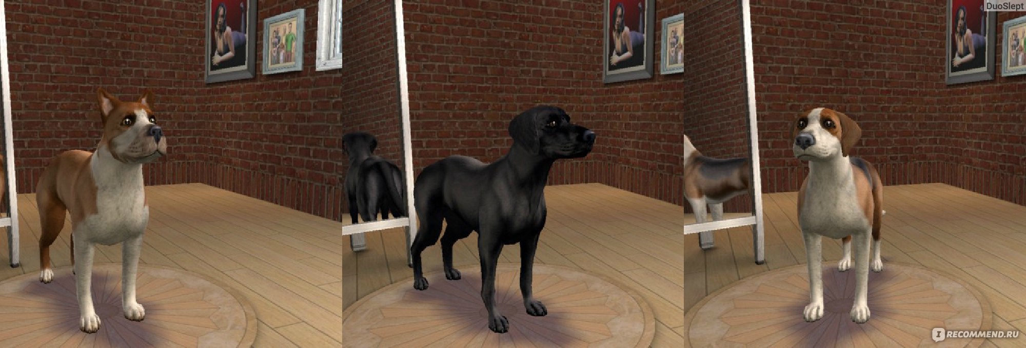 The Sims 2 - Pets - «Игра-ностальгия💚Одно из любимых дополнений с  милахами-питомцами✓Котики,собачки,грызуны, а можно даже Оборотнем стать» |  отзывы