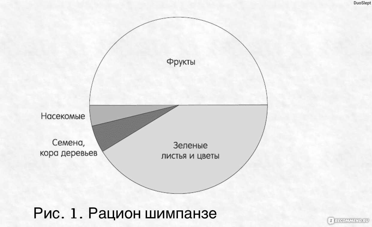 Зелень для жизни, Виктория Бутенко - «Как я не стала вегетарианкой✓Самая  смешная книга, которую так и хочется комментировать🌿«Сорняки для детей»:  Зелень как источник белка вместе фу-мяса, блендер вместо жевания☝️Секреты  оздоровления зелёными коктейлями