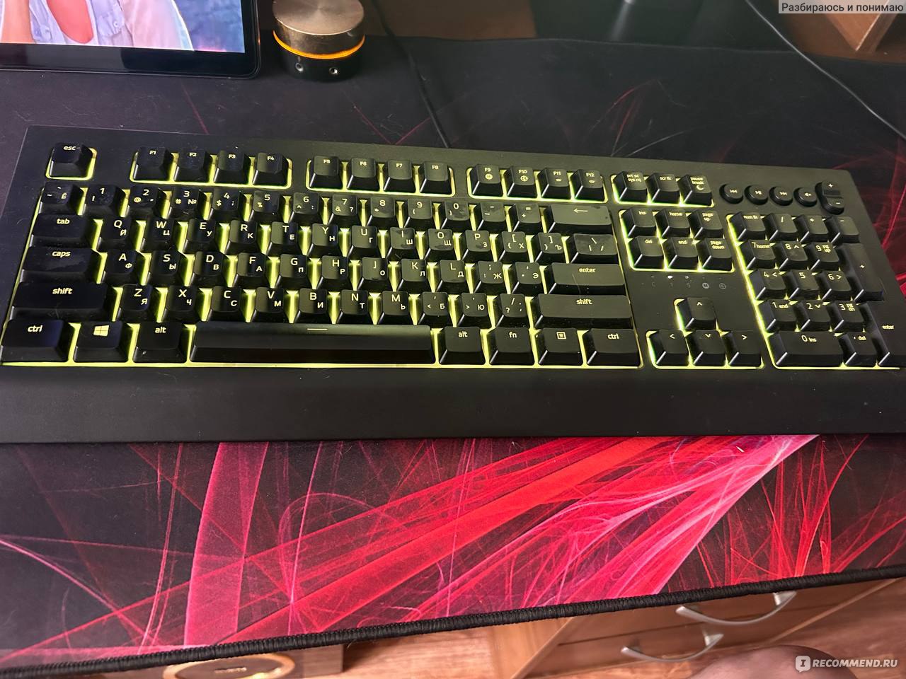 Игровая клавиатура Razer BlackWidow V3 Mini Festima.Ru - Мониторинг объявлений