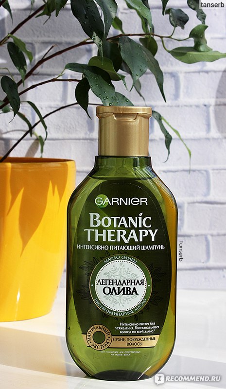 Шампунь гарньер. Шампунь Garnier Botanic Therapy. Garnier Botanic Therapy олива. Botanic Therapy шампунь легендарная олива. Garnier Botanic Therapy шампунь 250мл олива 2765.