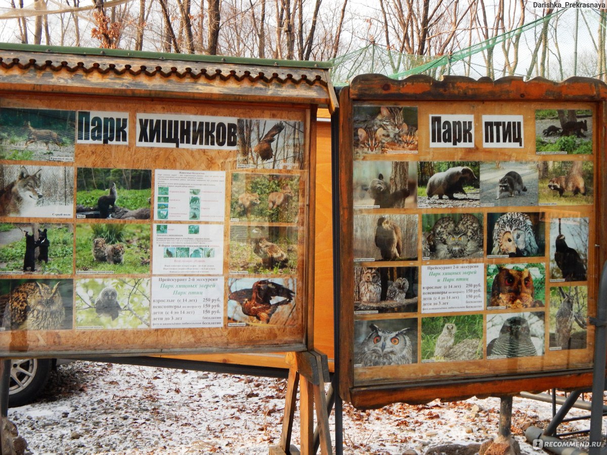 Карта сафари парка приморский край