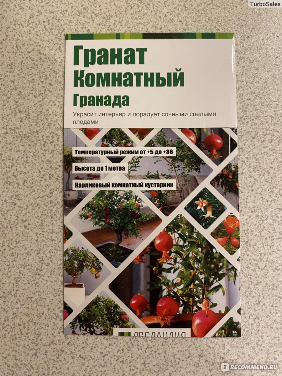 Семена Граната комнатного Гранада от «ЛЕСЛАНДИЯ» - «Немного экзотики у Вас  дома» | отзывы