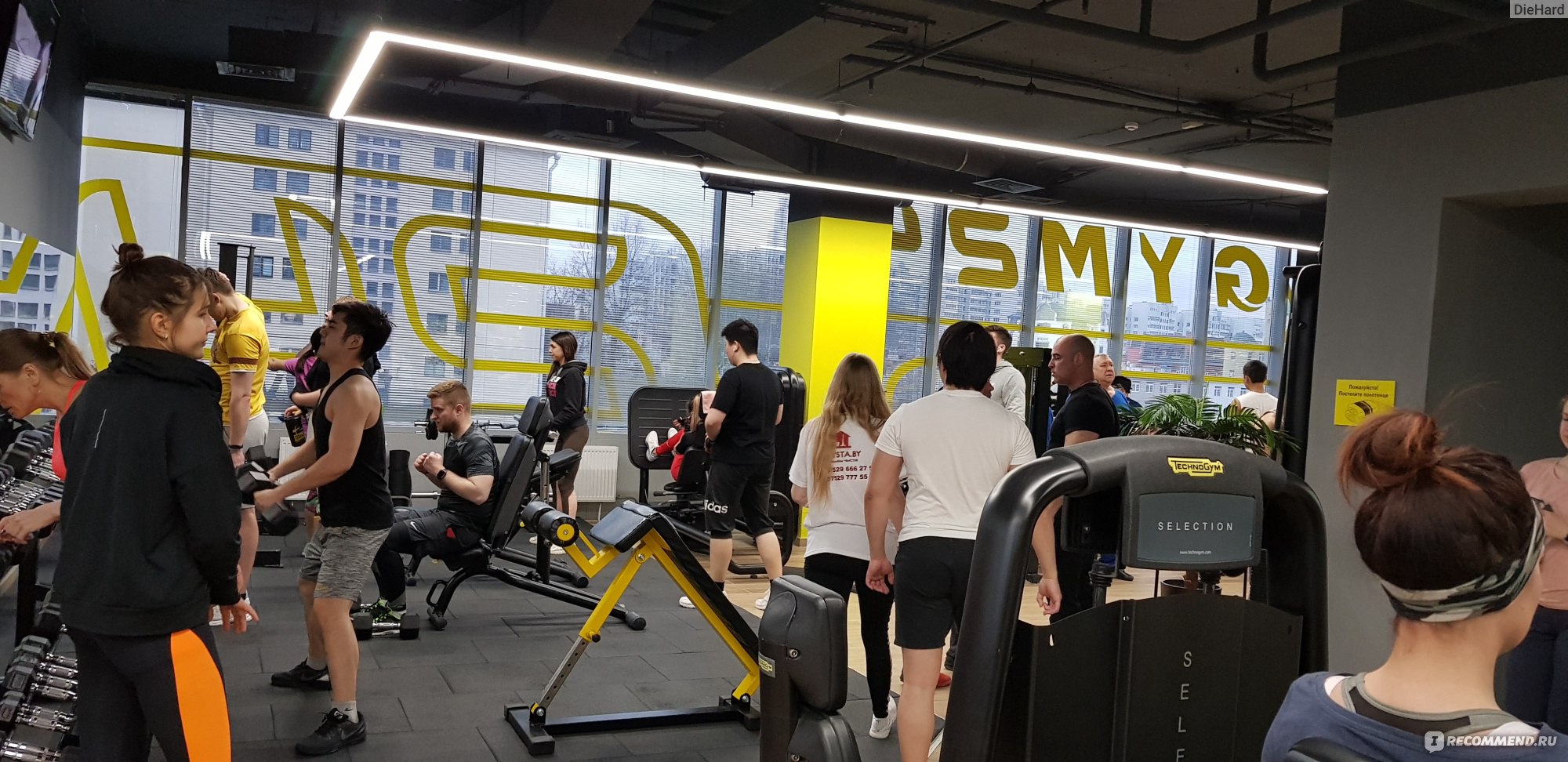 GYM24, Минск, Беларусь - «Достойный зал.» | отзывы