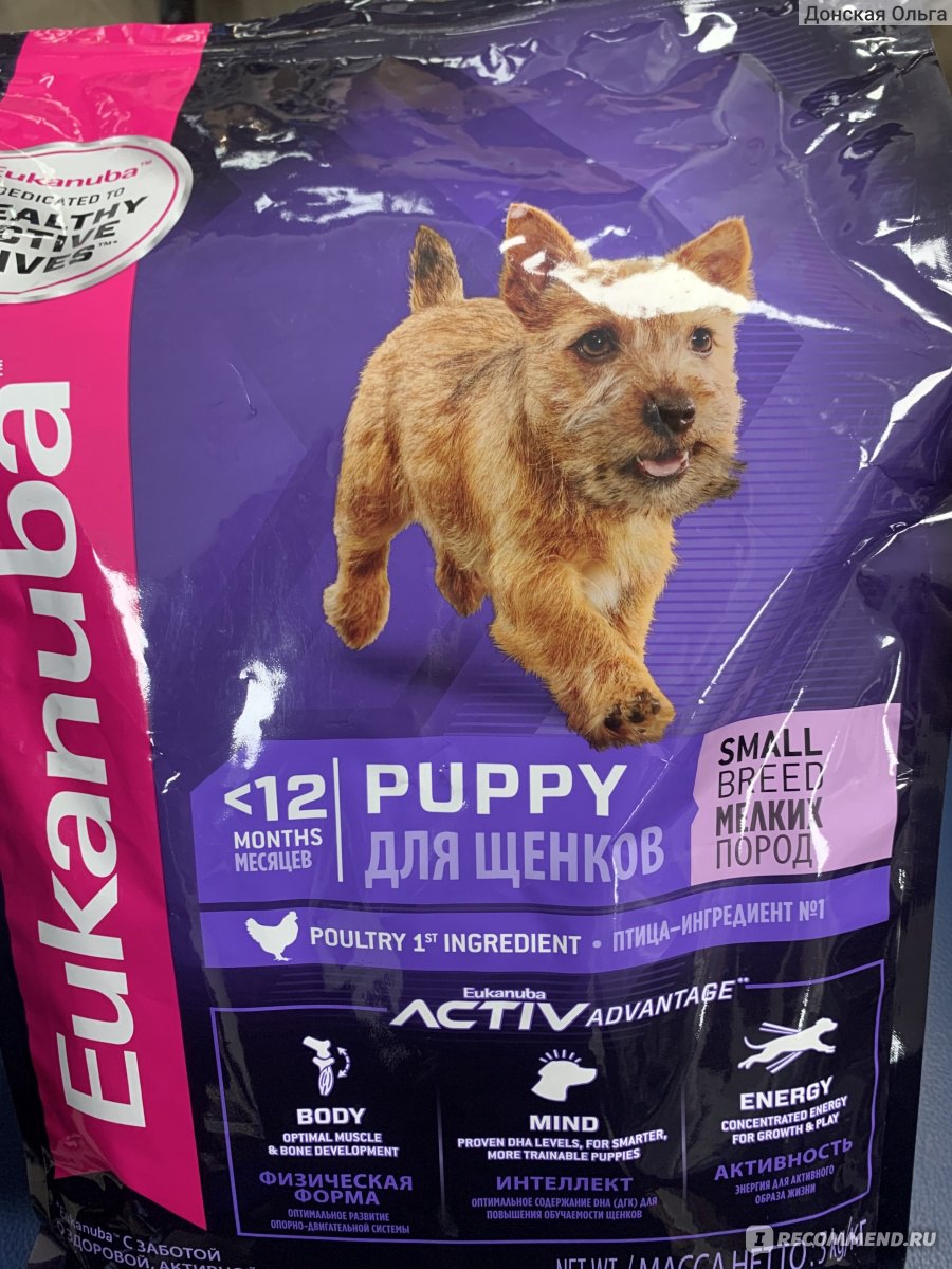 Eukanuba Puppy Small Breed