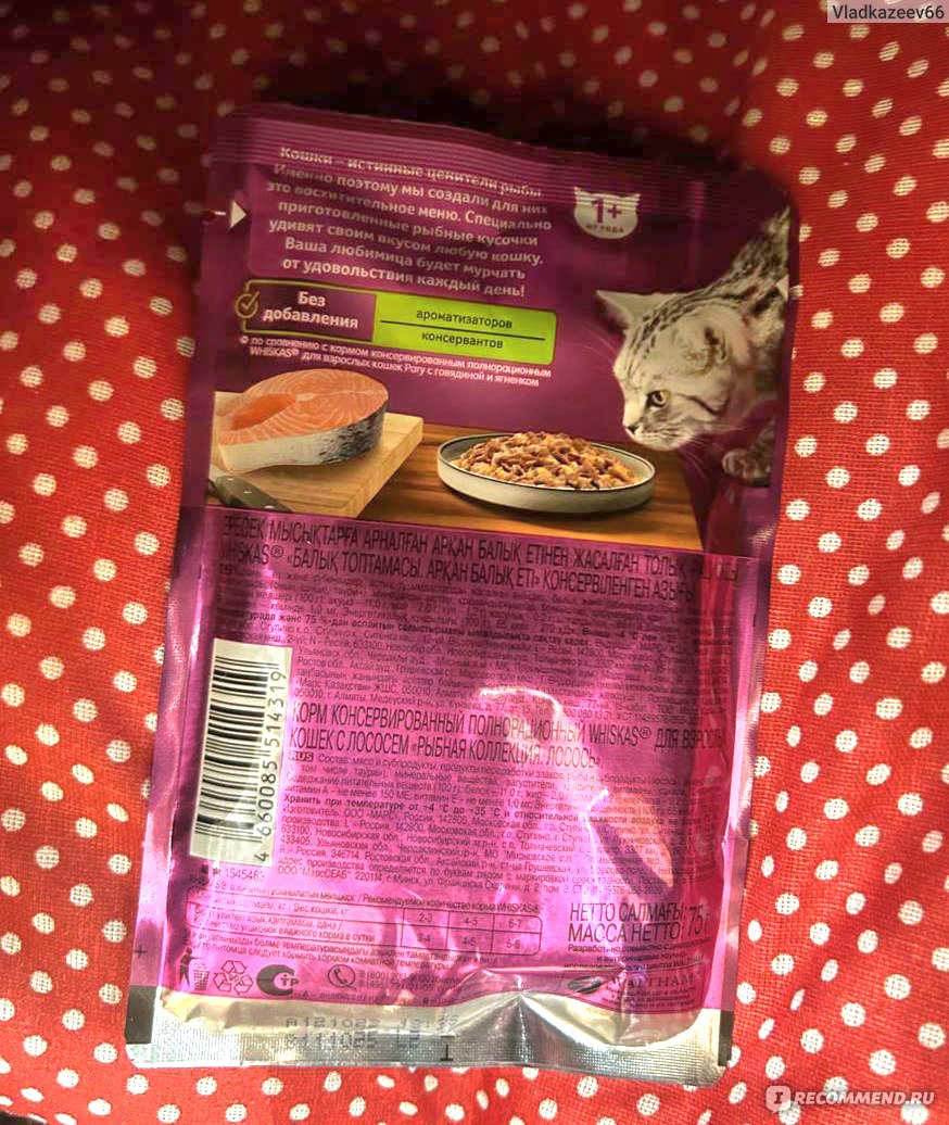 Корм для кошек Whiskas Рыбная Коллекция желе с лососем - «Хороший корм ...