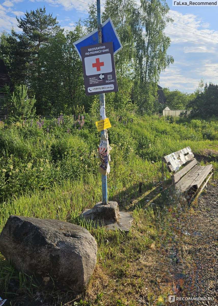 Дача в садоводческом массиве Дивенская 4*, Россия, Санкт Петербург, Санкт  Петербург - «Живописное зеленое место для отдыха от городской суеты» |  отзывы