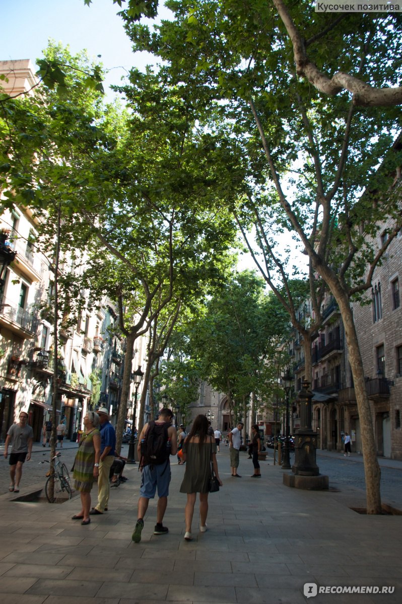 Барселона Испания фото