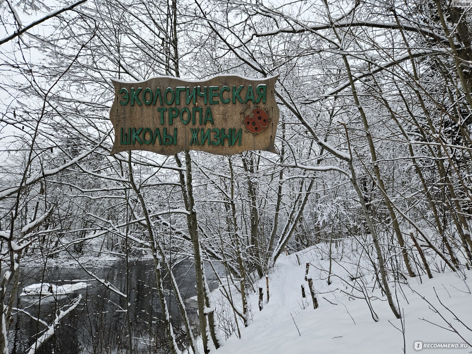 Экологическая тропа «Школы жизни» в посёлке Сиверский, Россия - «Экотропа  зимой: реально ли здесь пройти, есть ли на что посмотреть и стоит ли  специально ждать лета» | отзывы