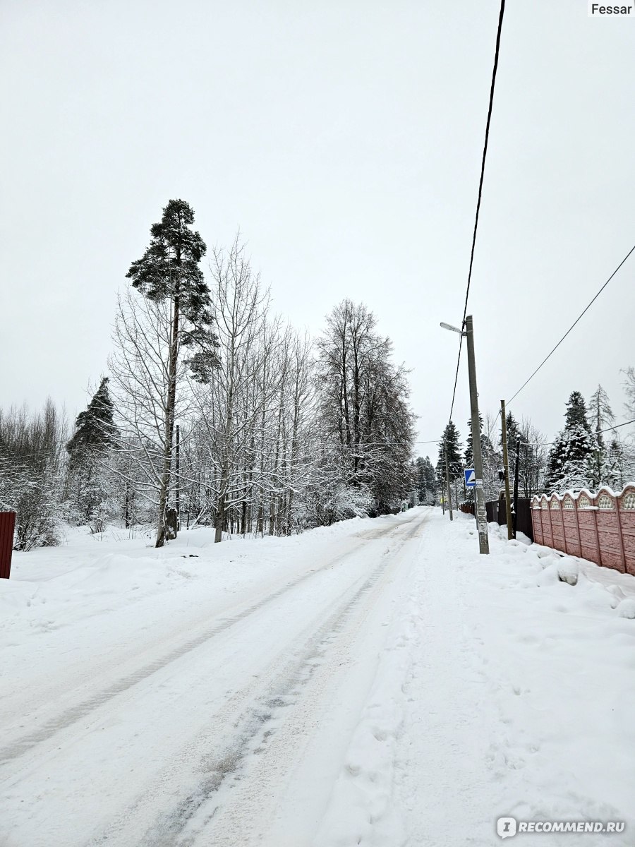 Экологическая тропа «Школы жизни» в посёлке Сиверский, Россия - «Экотропа  зимой: реально ли здесь пройти, есть ли на что посмотреть и стоит ли  специально ждать лета» | отзывы