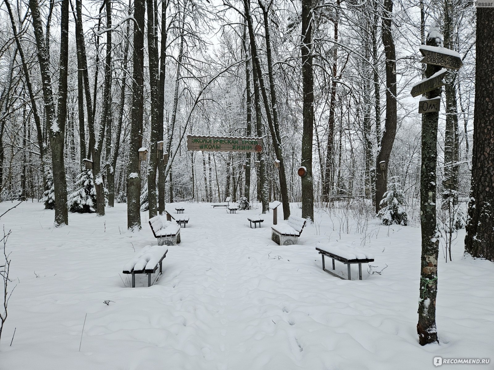 Экологическая тропа «Школы жизни» в посёлке Сиверский, Россия - «Экотропа  зимой: реально ли здесь пройти, есть ли на что посмотреть и стоит ли  специально ждать лета» | отзывы