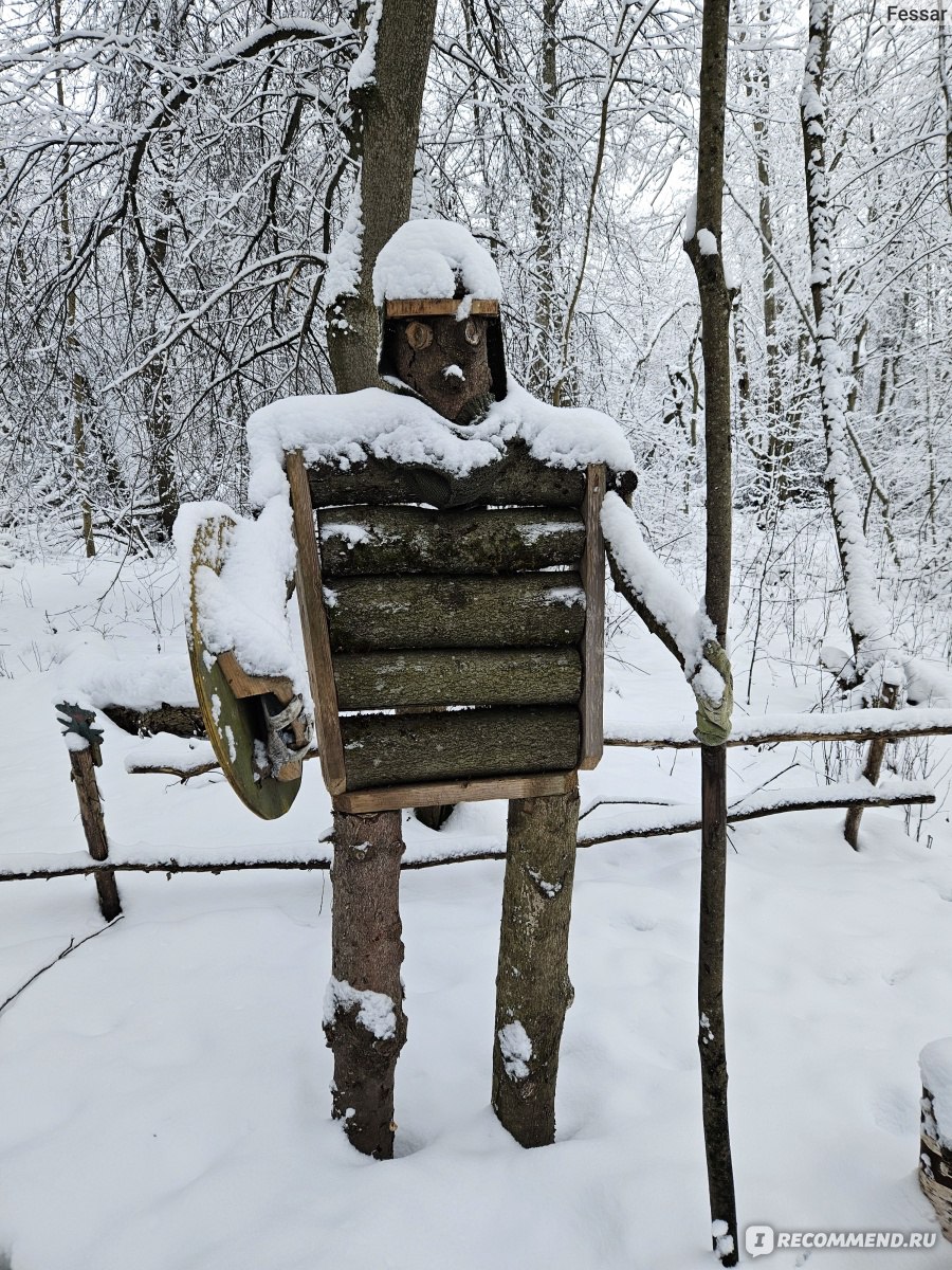 Экологическая тропа «Школы жизни» в посёлке Сиверский, Россия - «Экотропа  зимой: реально ли здесь пройти, есть ли на что посмотреть и стоит ли  специально ждать лета» | отзывы