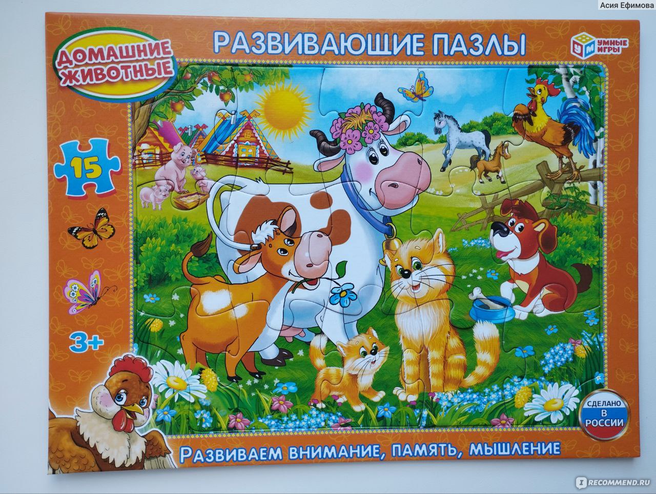 Настольная игра 