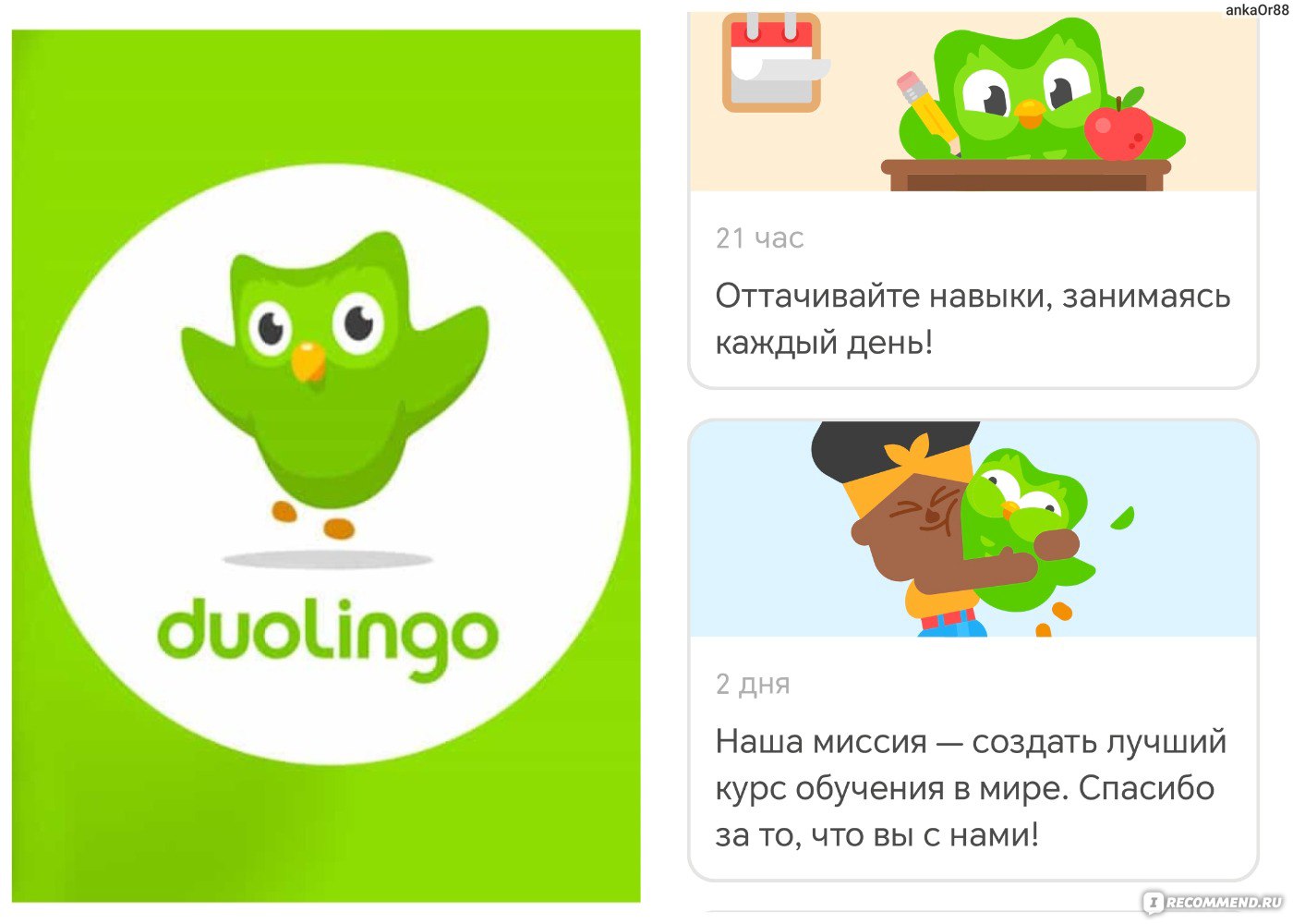 Duolingo: Учим языки бесплатно - «Учу английский бесплатно с Duolingo,  плюсы и минусы приложения за 5 лет использования. Лучшее приложение. » |  отзывы