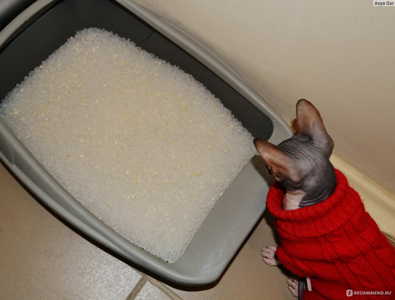 Сода для мытья кошачьего туалета