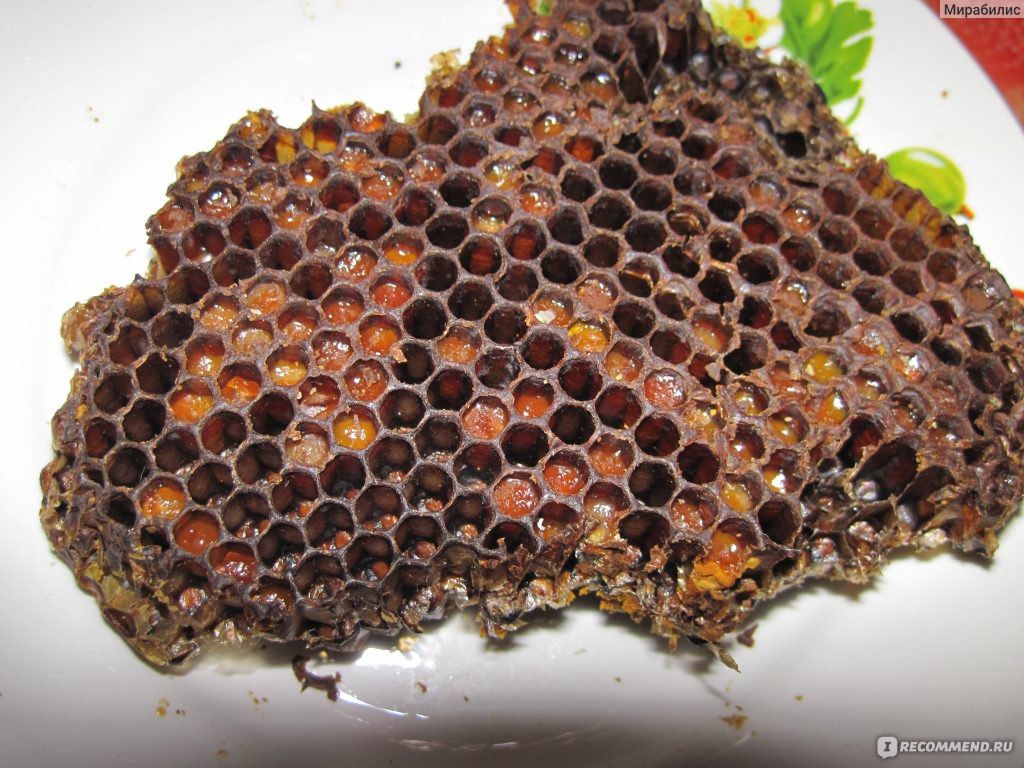 Перга рамка. Перга пчелиная в сотах. Перга в сотах. Соты с медом и пергой. Прополис пчелиный пчелозавод.