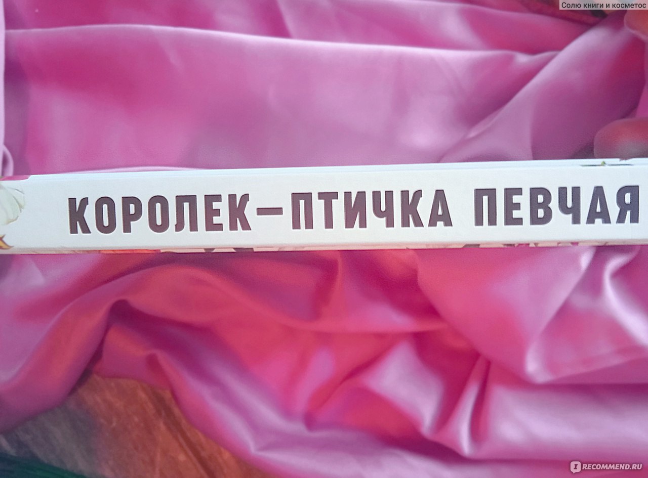 Птичка Певчая. Решад Нури Гюнтекин - «Идут годы, а я продолжаю восхищаться  силой характера Фериде. «Королёк — птичка певчая» — это вечная любовь моя  +немного подшаманила с ИИ и создала идеальных Кямрана