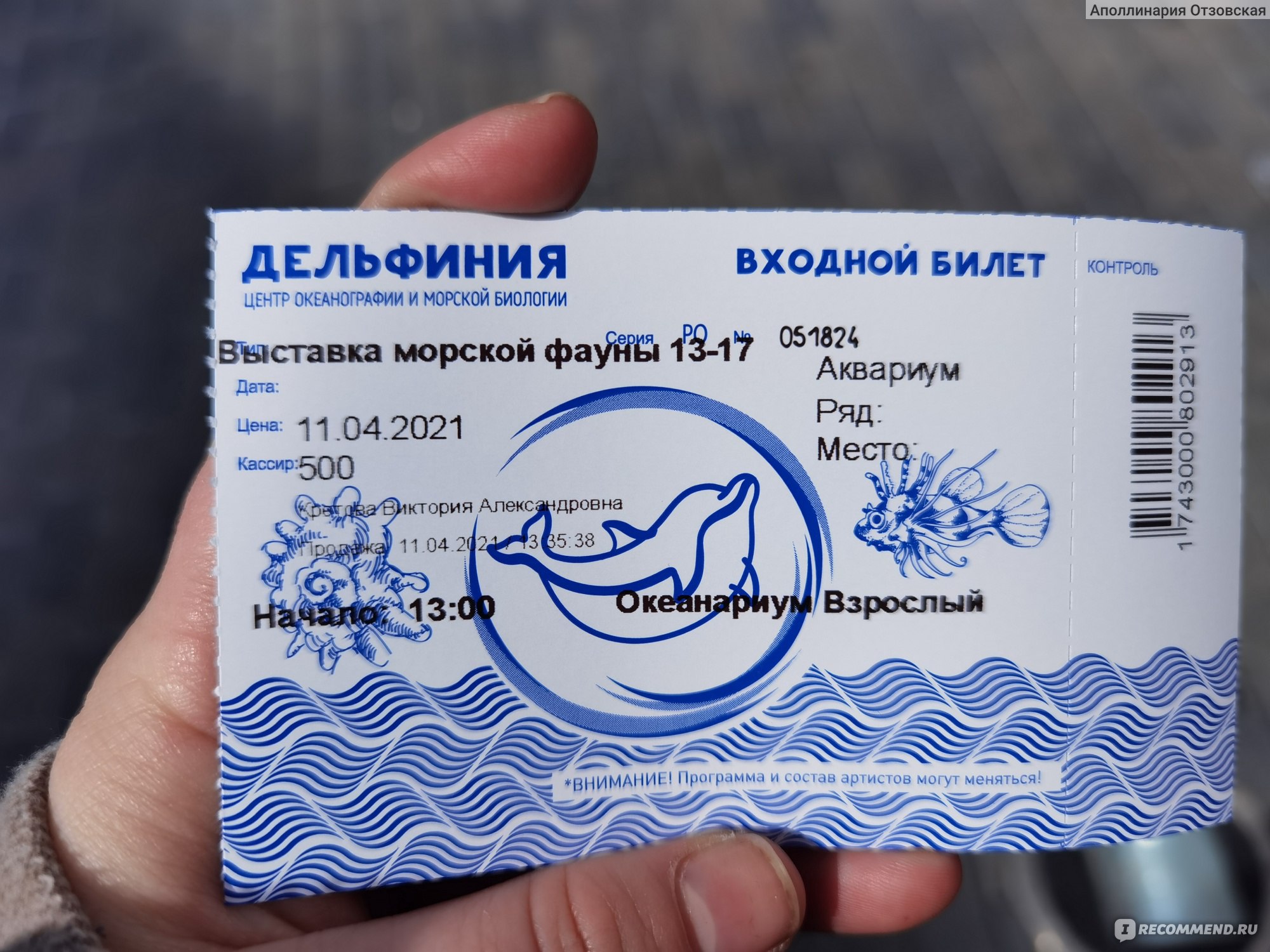 Океанариум Новосибирск Цена Билета Фото