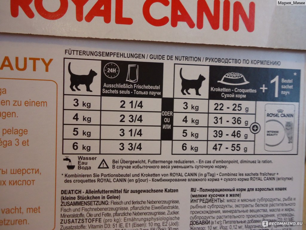 Сколько грамм корма котенку