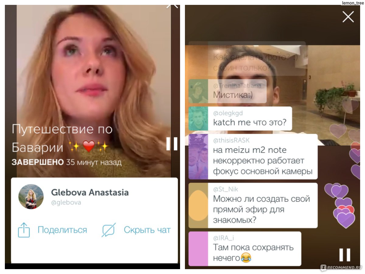 Ливача сайт