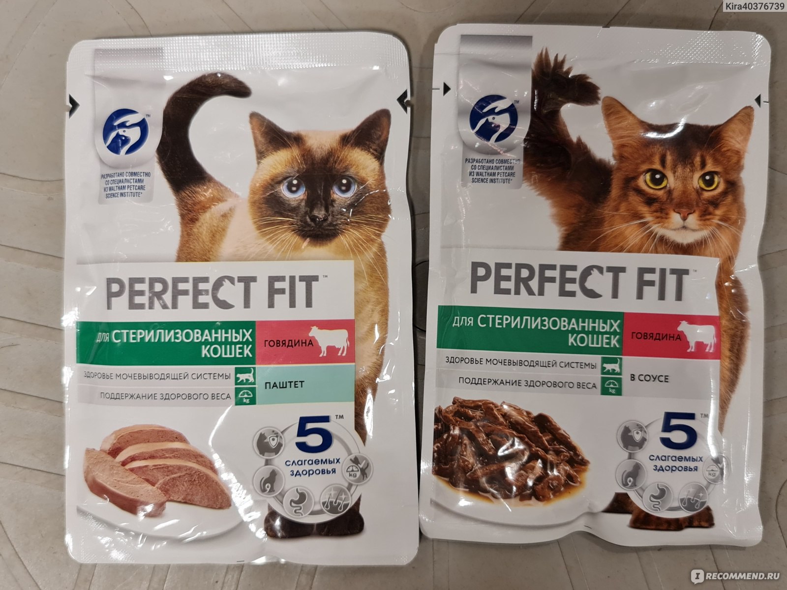 Купить perfect fit для кошек