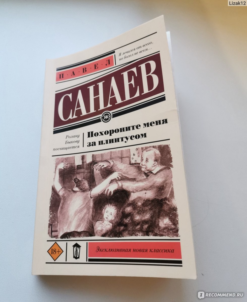 Похороните меня за плинтусом..., Павел Санаев - «Бабушка была моей жизнью,  мама – редким праздником. У праздника были свои правила, у жизни свои.» |  отзывы