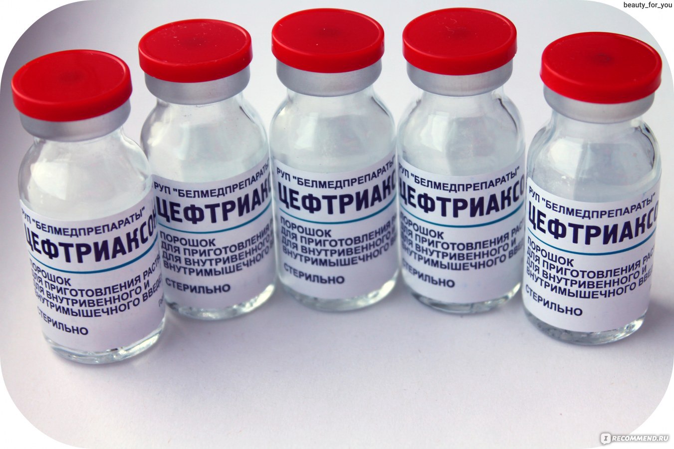 Антибиотики пенициллины цефалоспорины
