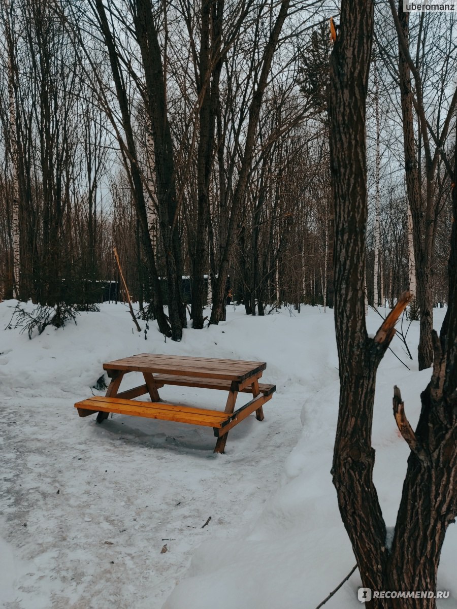 Побег из города, Россия, Пермь - «Как провести зимний выходной в лесу?» |  отзывы