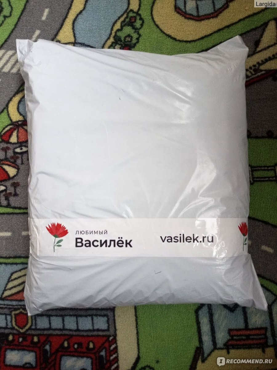 Сайт Любимый василек - vasilek.ru - «Хороший сайт, прекрасный выбор ...
