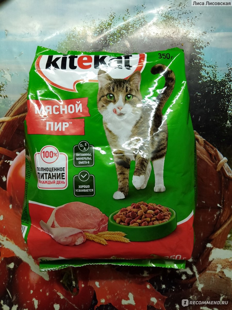 Корм для кошек Kitekat Мясной пир - «Нормальный кошачий корм. Но состав не  совсем натуральный» | отзывы