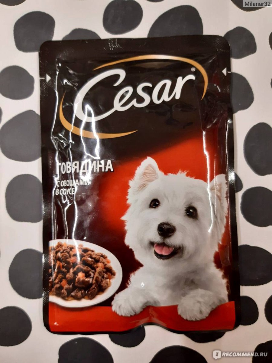 Паучи для собак Cesar из говядины с овощами - «Отличный вариант корма ...