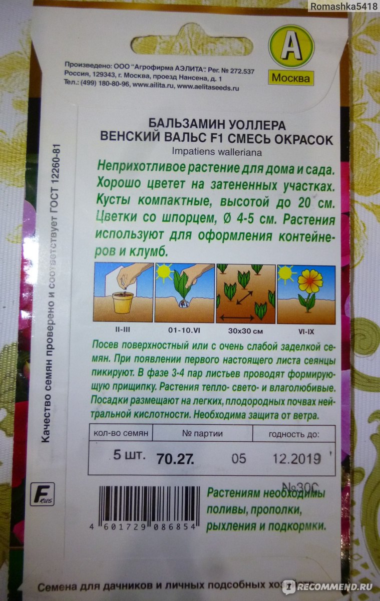 Бальзамин-недотрога - «Легкое в выращивании красивоцветущее растение» |  отзывы