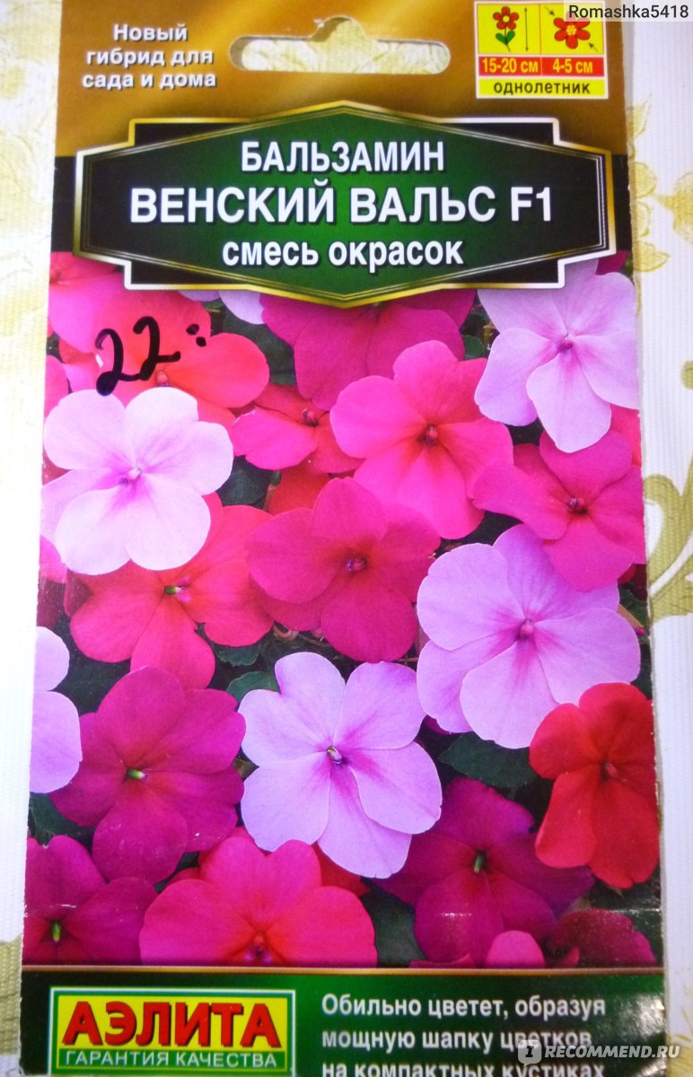 Бальзамин-недотрога - «Легкое в выращивании красивоцветущее растение» |  отзывы