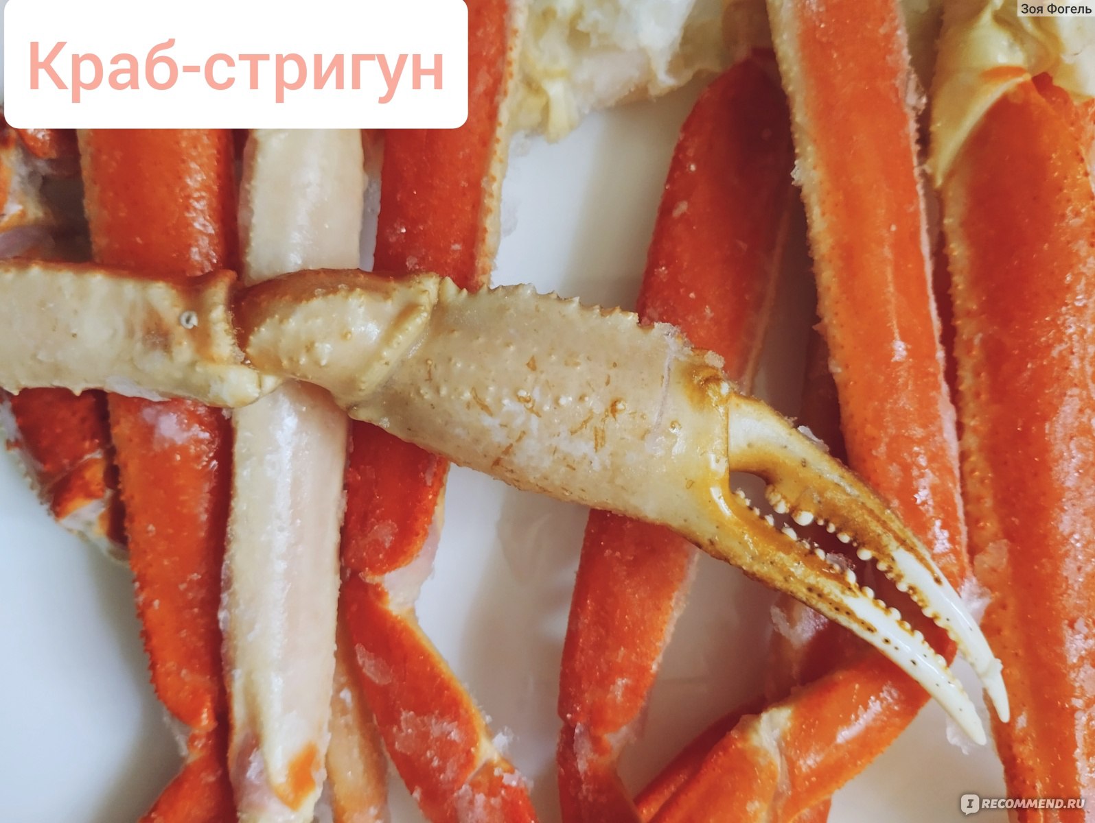 Крабовые клешни Новая Аляска Краб Опилио Замороженные - «Вкуснейшее крабовое  мясо от бренда «Новая Аляска»😚 Недорогое, доступно почти во всех магазинах  страны. Единственный недостаток продукта – много соли⬇️» | отзывы