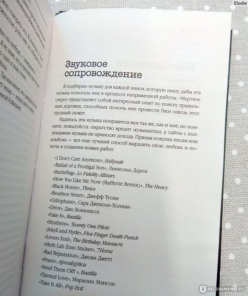 Мертвое озеро. Рейчел Кейн - «Захватывающий триллер о непростой жизни  бывшей жены маньяка» | отзывы