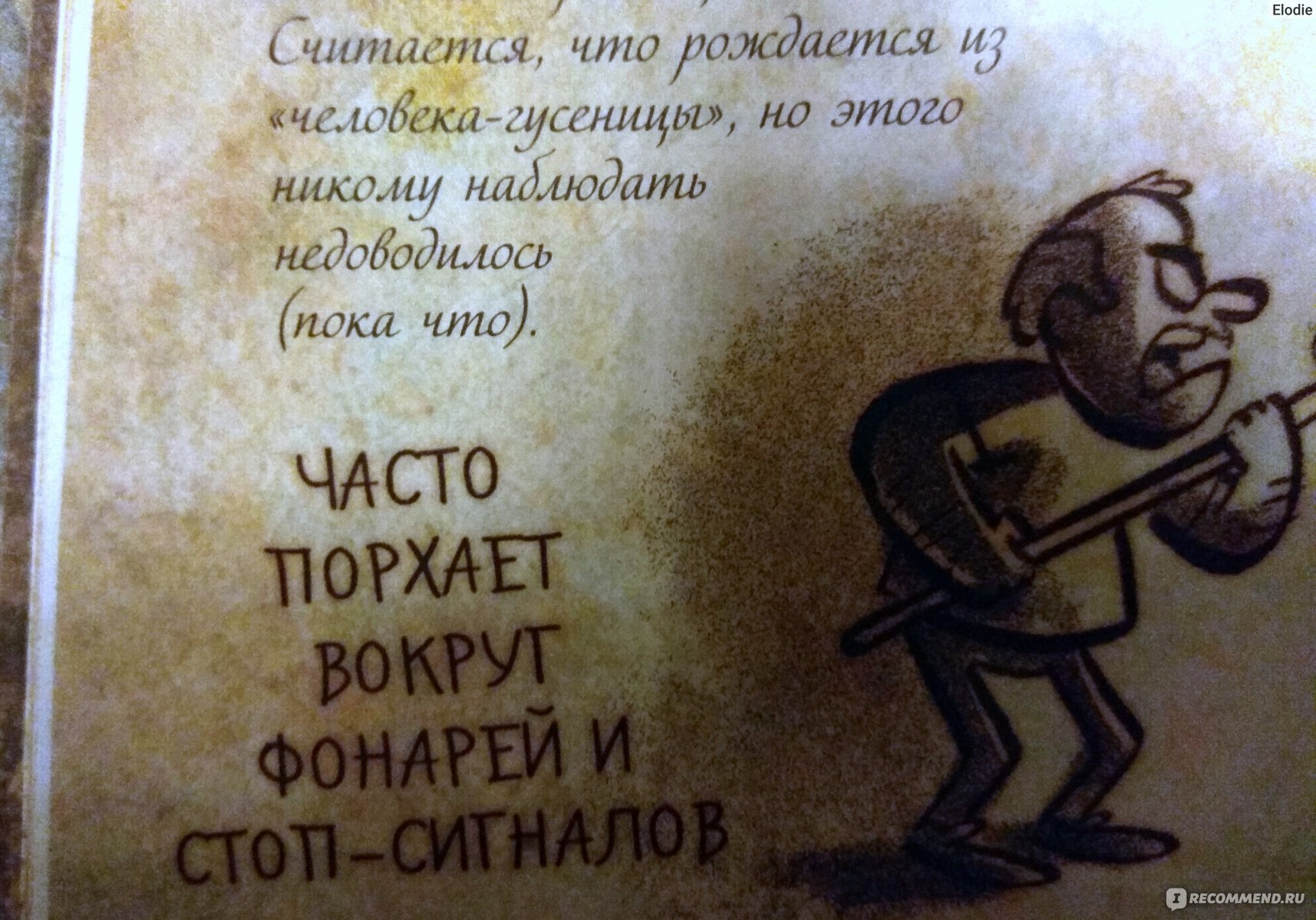 Не поверю, что ботаник-Автор мог написать "не" с глаголом слитно!