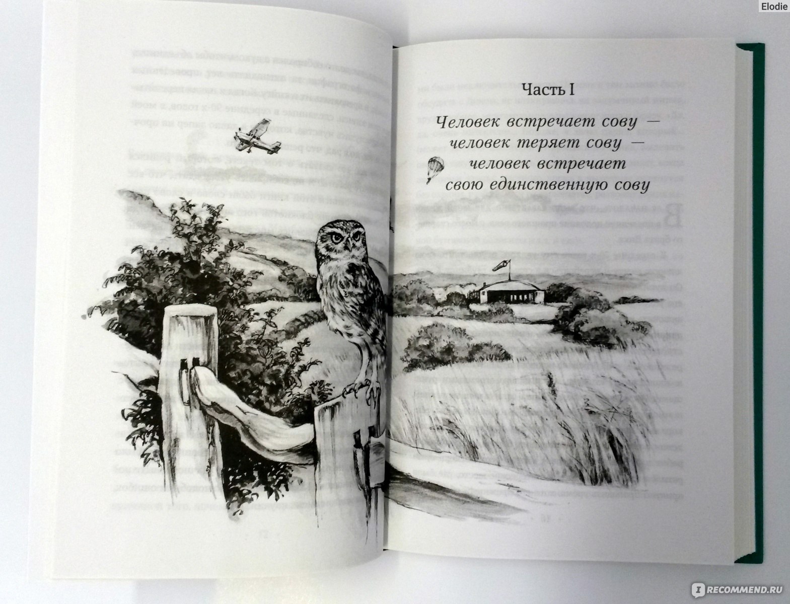 Сова, которой нравилось сидеть на Цезаре. Уиндроу Мартин - «Ждала одно,  получила другое, но в итоге не разочаровалась» | отзывы