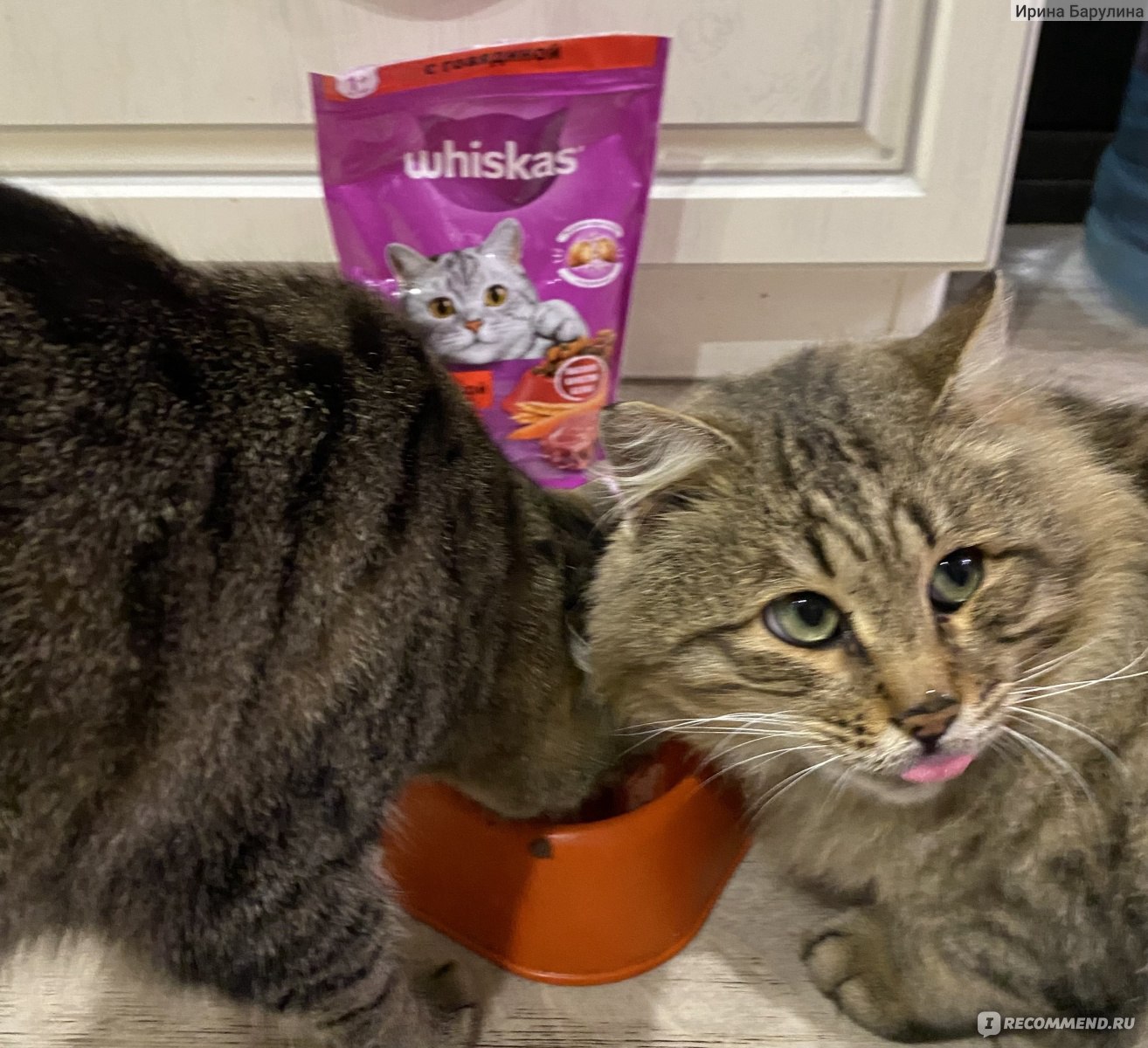 Корм для кошек Whiskas Вкусные подушечки с начинкой Говядина, +1 ...
