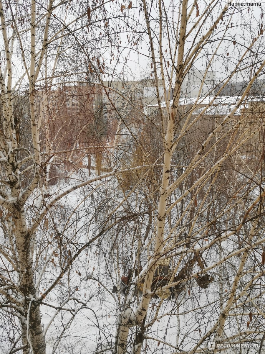 Роддом №4, Саратов - «Роды по ОМС в 4 роддоме города Саратов в 2021г. +  Список вещей в роддом» | отзывы