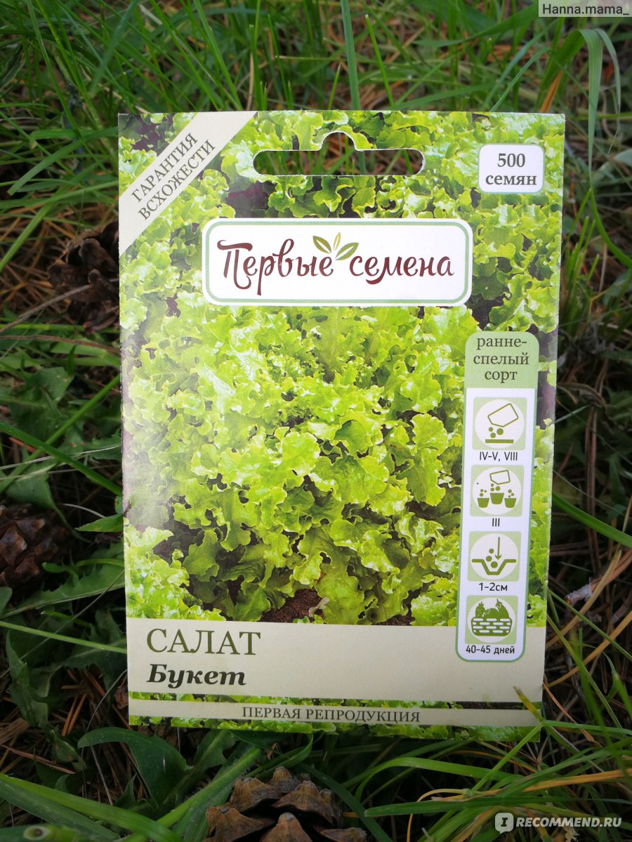 Лучшие сорта зелени для выращивания на окне | На грядке (malino-v.ru)