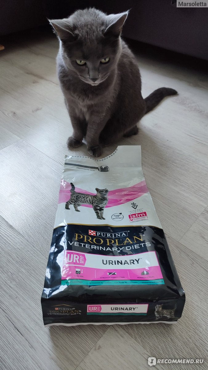 Purina Veterinary Diets UR Urinary Feline - «Облегчение кошке при МКБ корм  однозначно принёс, но есть негативные моменты» | отзывы