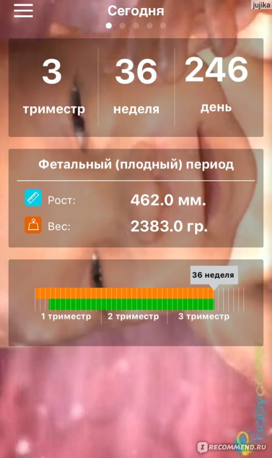 Приложение беременность. Приложение беременность по неделям. Приложение беременность по неделям для айфона. Приложение я беременна Lite. Беременность приложение для андроид.