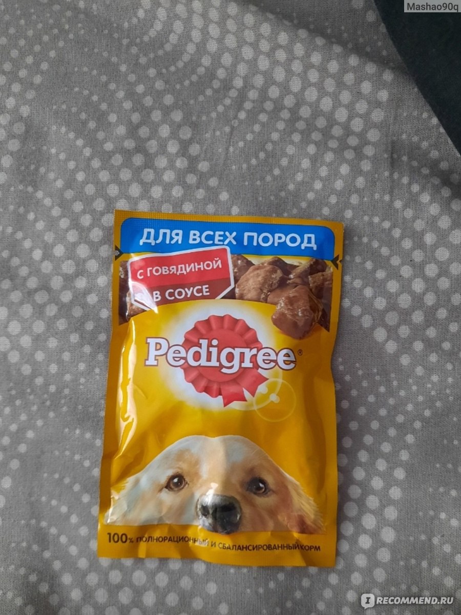 Корм для собак Pedigree с говядиной в соусе для взрослых собак всех пород -  «Любимица оценила» | отзывы