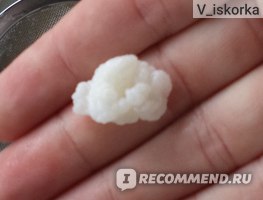 Индийский морской рис, молочный & чайный гриб | ВКонтакте