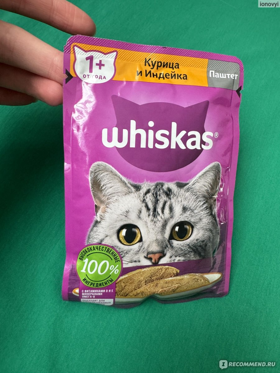 Влажный корм для кошек Whiskas Курица и индейка желе - «Наша кошка –  настоящая гурманка! » | отзывы