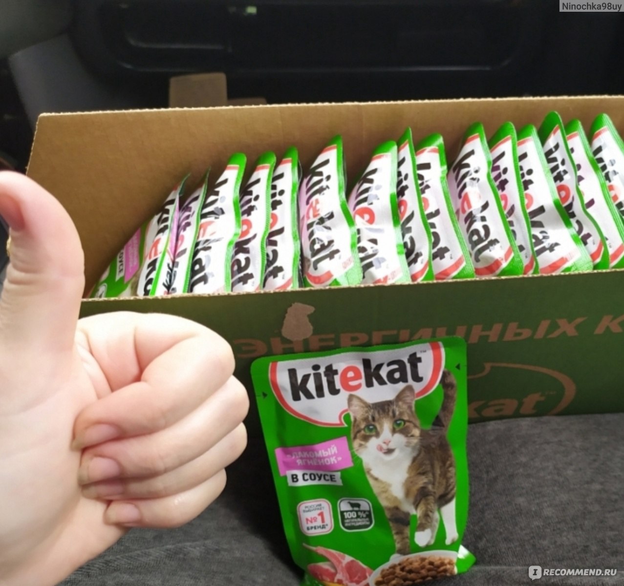 Корм для кошек Kitekat с ягненком в желе - «Корм устраивает нашего кота ...