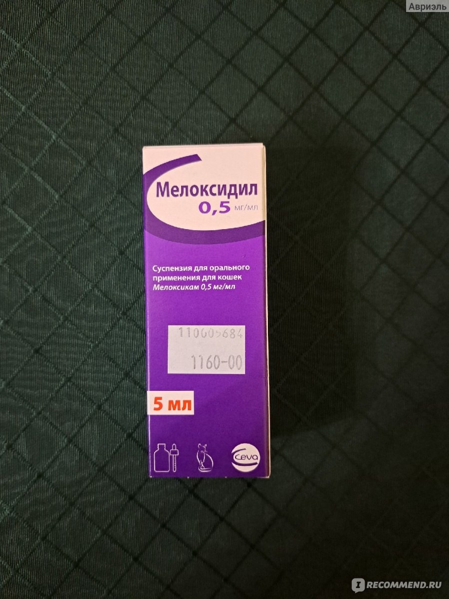 Мелоксидил для кошек