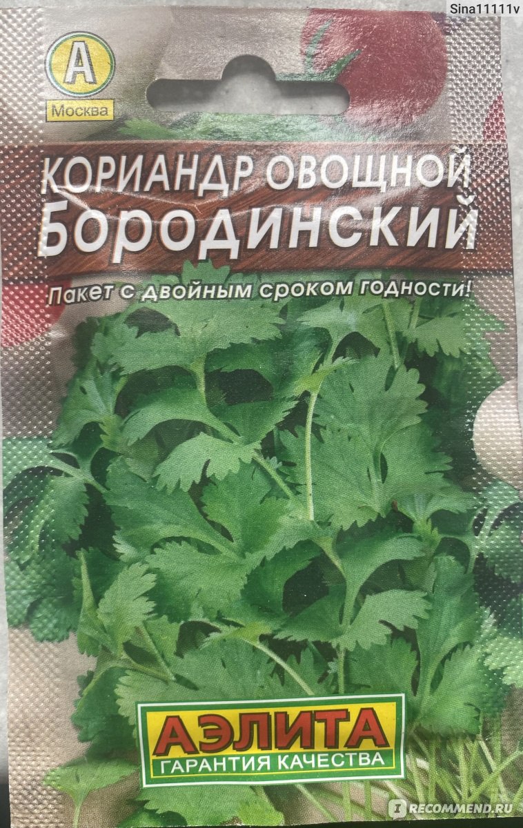 Семена АЭЛИТА Кориандр овощной Бородинский - «Кориандр Овощной Бородинский  семена» | отзывы