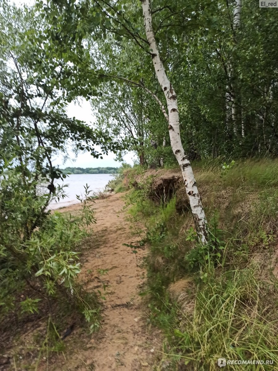 Россия, Московская область, Можайский район, Можайское водохранилище -  «Отдых выходного дня - хочешь дикий, хочешь цивилизованный - обзорка» |  отзывы